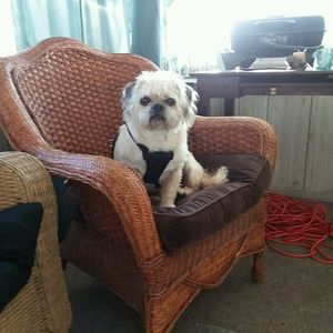 Meet your Posher, Elizabeth